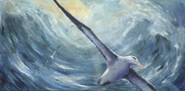 Photo d'un albatros