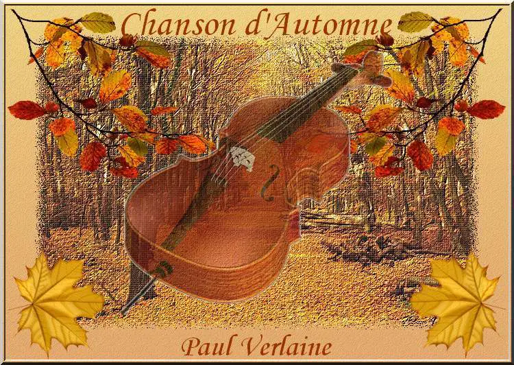 Photo d'un violon