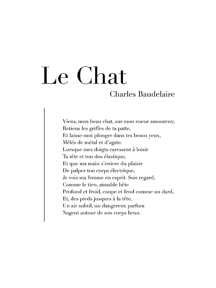 Photo du poème chat